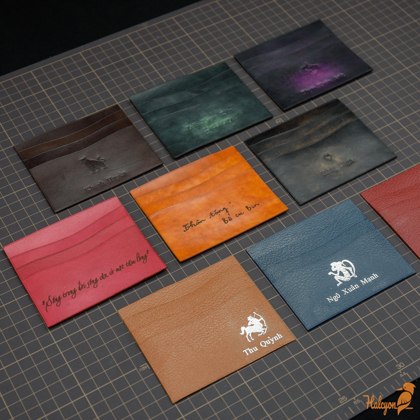 Ví nam chân đà điểu - Halcyon VN